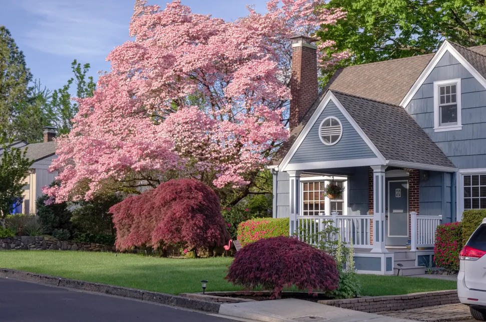 rain or shine house painting